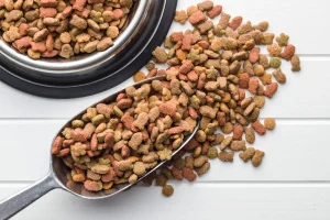 croquettes chats sterilises